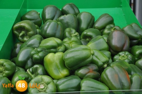 souq yaffa 0123 (26).JPG